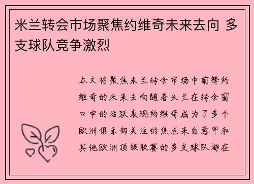 米兰转会市场聚焦约维奇未来去向 多支球队竞争激烈